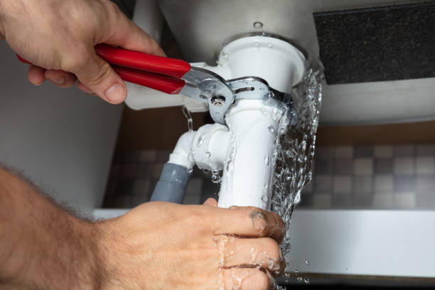 Best Local water damage restoration  in Seffner, FL