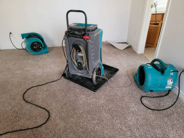 Best Water damage contractors near me  in Seffner, FL