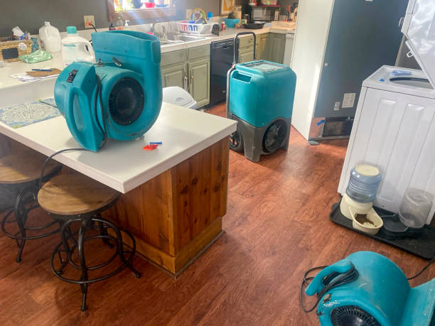 Best Flood damage cleanup  in Seffner, FL
