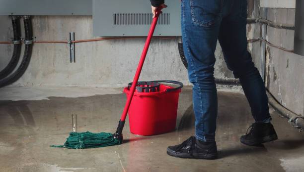 Trusted Seffner, FL Water damage restoration Experts