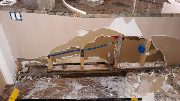 Best Water damage restoration company  in Seffner, FL