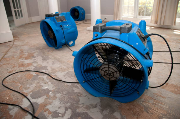 Best Residential water damage restoration  in Seffner, FL