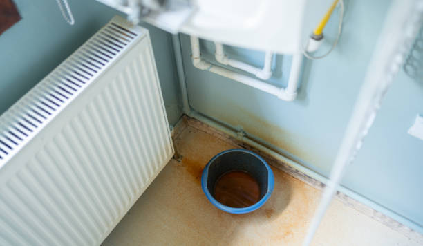 Best Emergency water damage restoration  in Seffner, FL