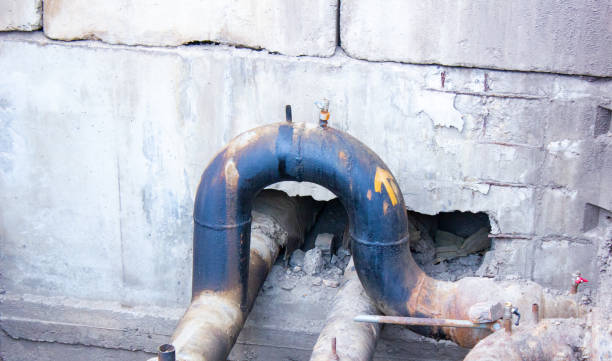 Best Ceiling water damage repair  in Seffner, FL