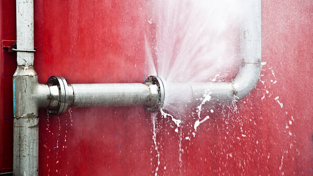 Best Basement water damage restoration  in Seffner, FL